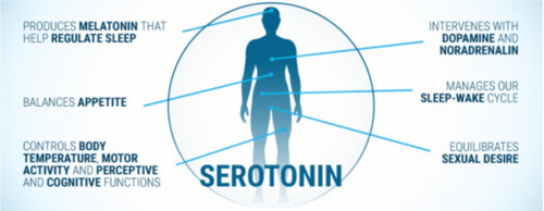 Serotonin - Arego Adapt online kaufen